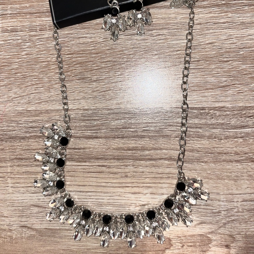 Paparazzi signature necklace and earrings